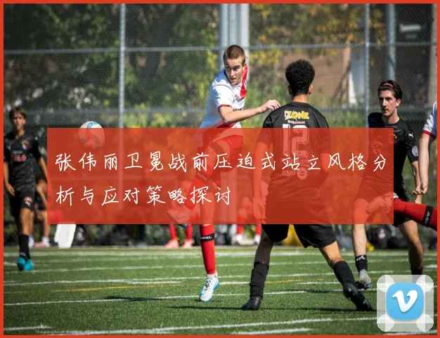 张伟丽卫冕战前压迫式站立风格分析与应对策略探讨