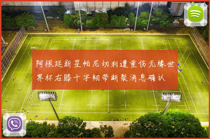 阿根廷新星帕尼切利遭重伤无缘世界杯右膝十字韧带断裂消息确认